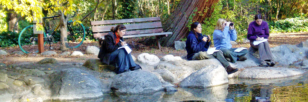 SOU International Programs Curricular Practical Training